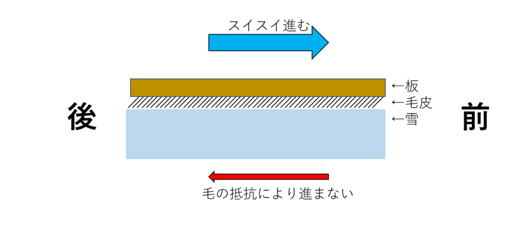 ゾンメルスキー 狩猟 アザラシ 【即納&大特価】 www.knee-fukuoka.com